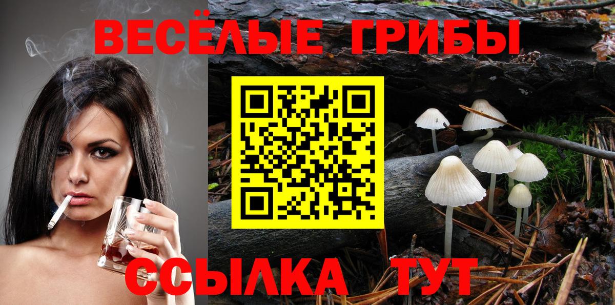 Псилоцибиновые грибы ЛСД  Вход с VPN  Курчатов  Галлюциногенные грибы мухоморы 